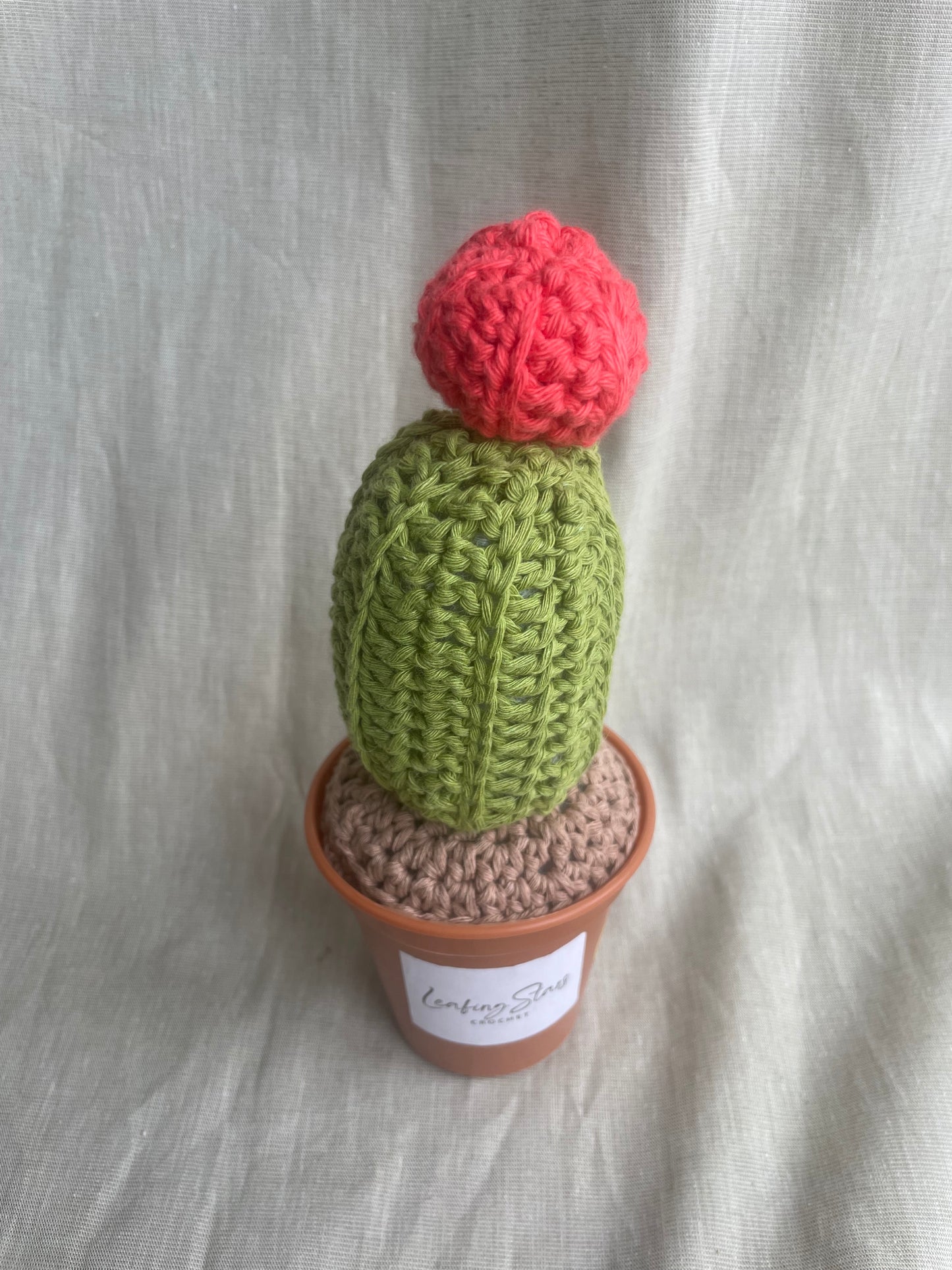 Red Cap Cactus