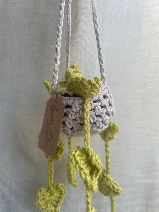 Leafy Mini Hanging Plant