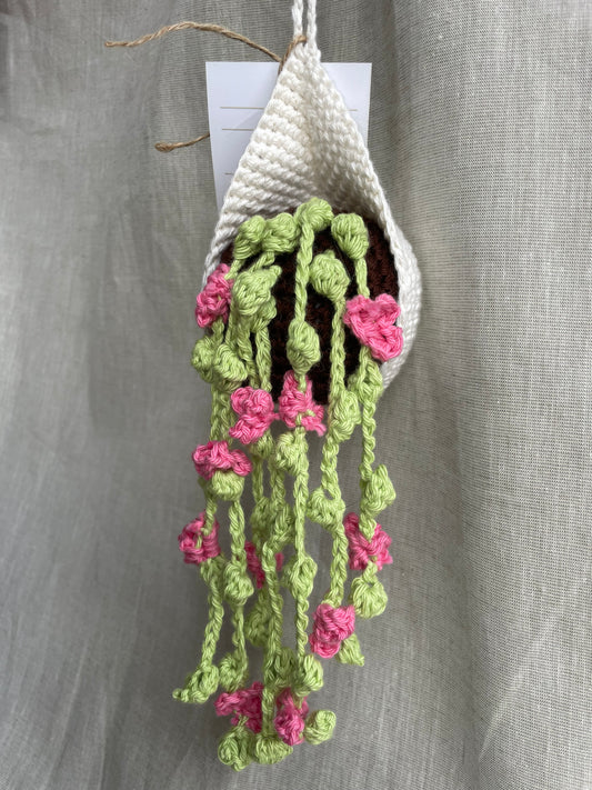 Pink Flowers Hanging Plant