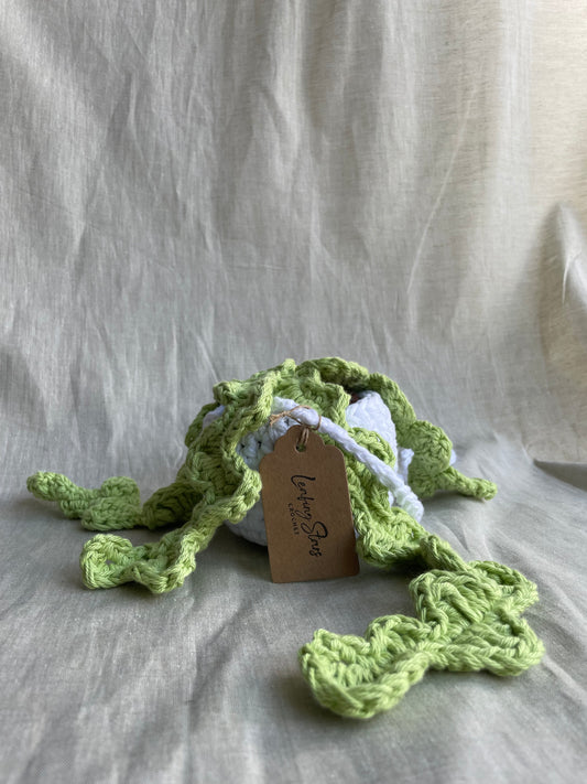 Leafy Large Hanging Plant