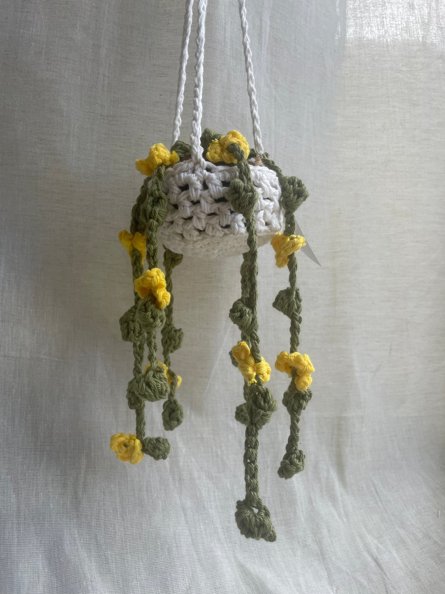 Yellow Flower Midi Hanging Plant