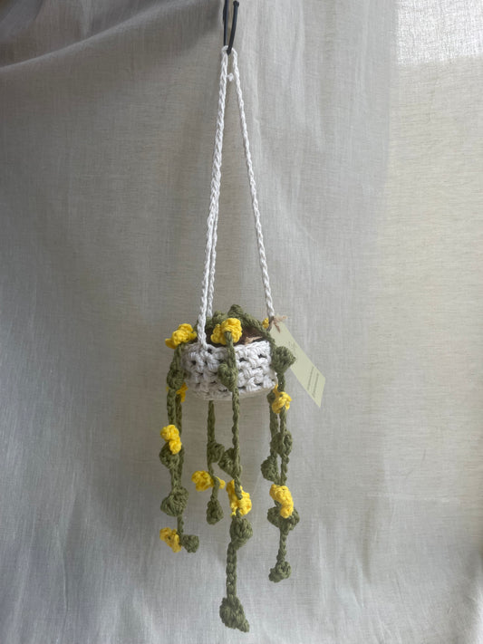 Yellow Flower Midi Hanging Plant