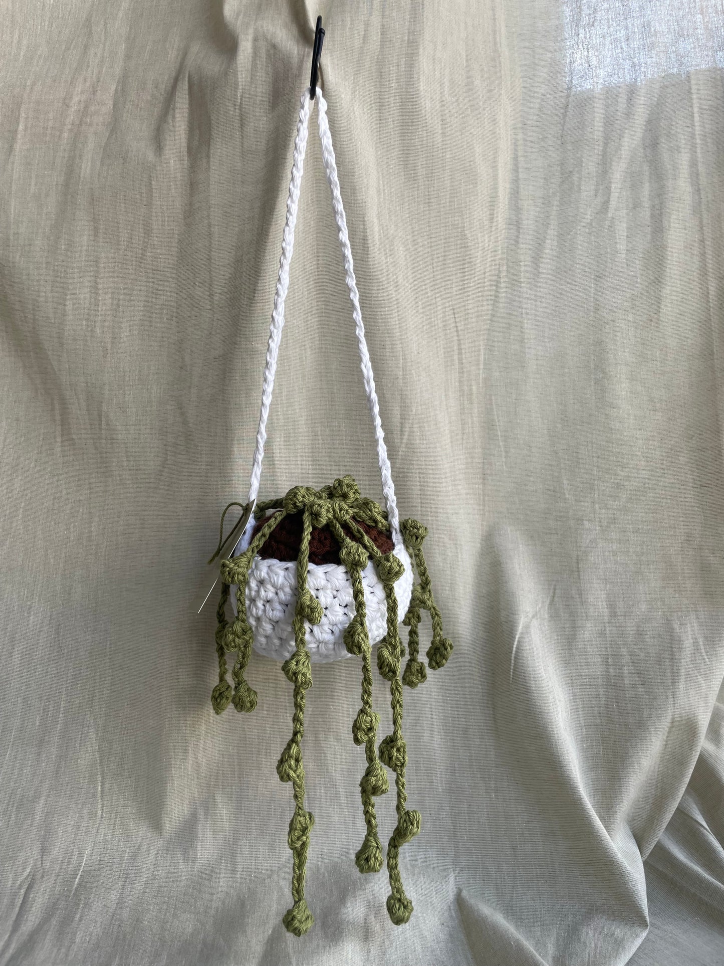 String of Pearls Large Hanging Plant