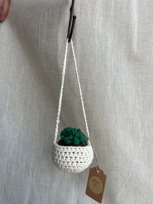 Succulent Mini Hanging Plant