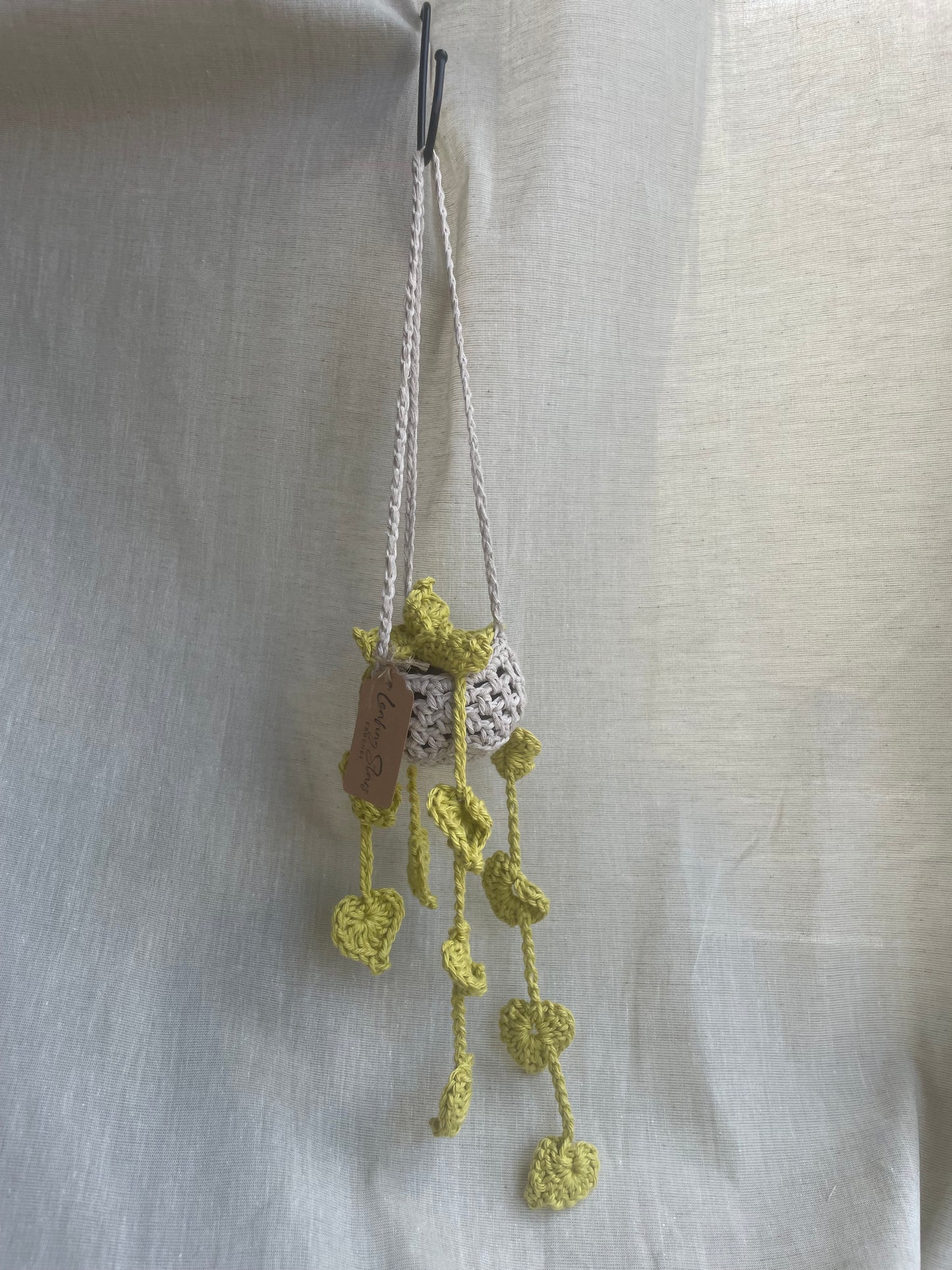 Leafy Mini Hanging Plant