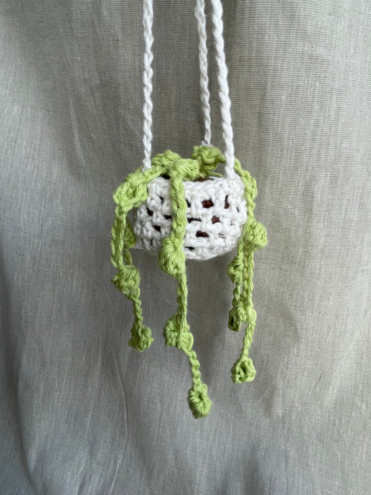 String of Pearls Mini Hanging Plant