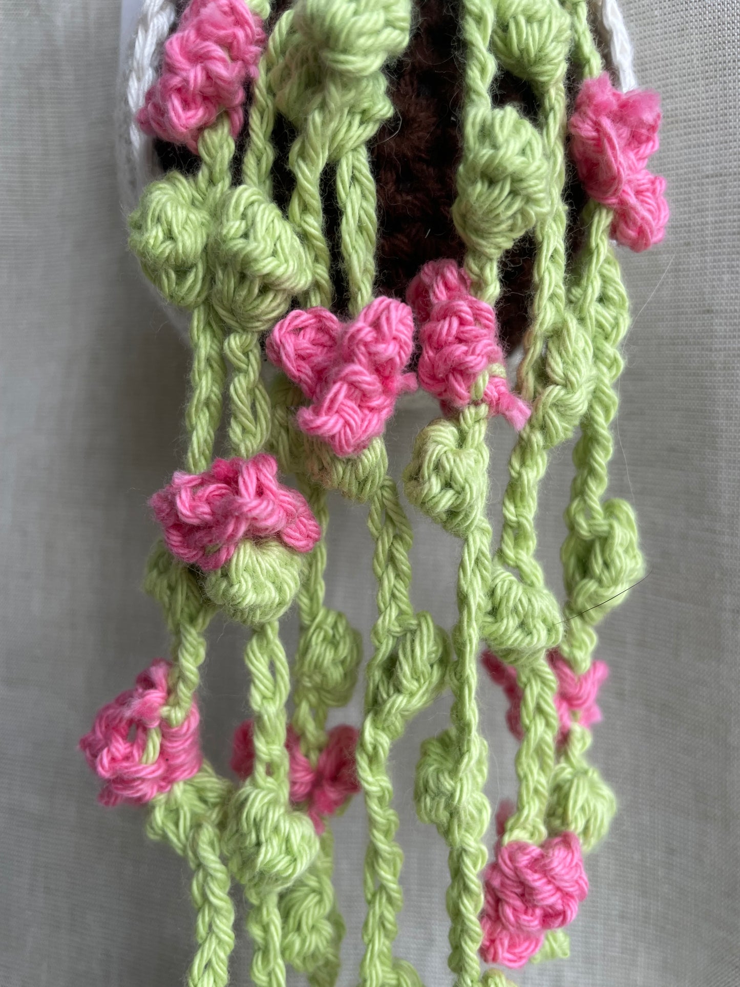 Pink Flowers Hanging Plant