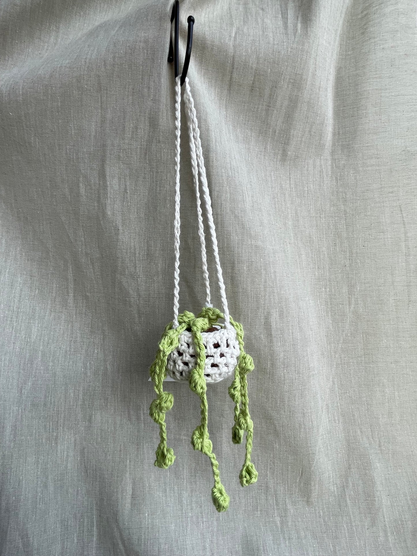 String of Pearls Mini Hanging Plant