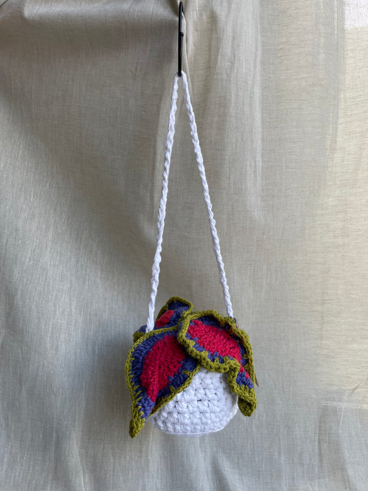 Coleus Large Hanging Plant