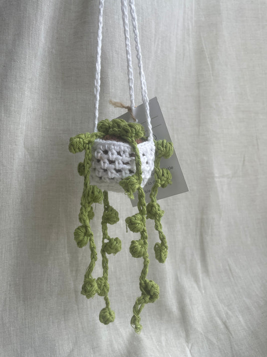 String of Pearls Mini Hanging Plant
