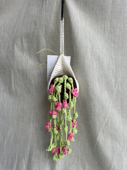 Pink Flowers Hanging Plant