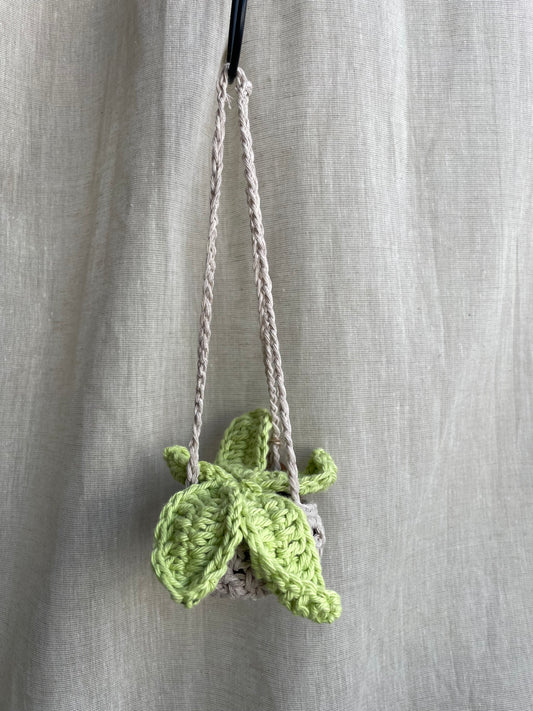 Leafy Mini Hanging Plant