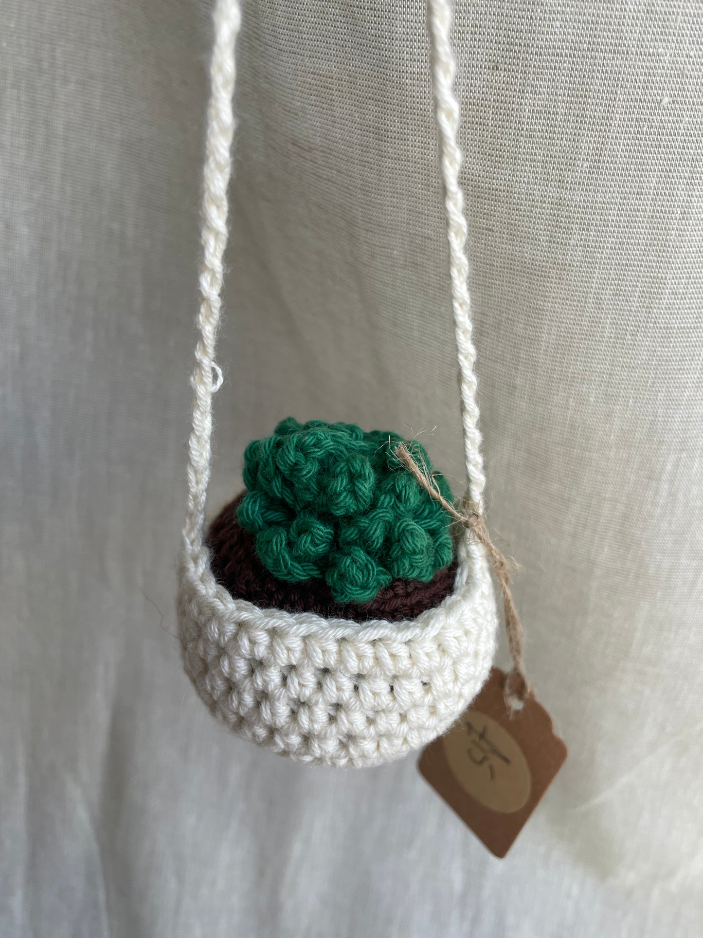 Succulent Mini Hanging Plant