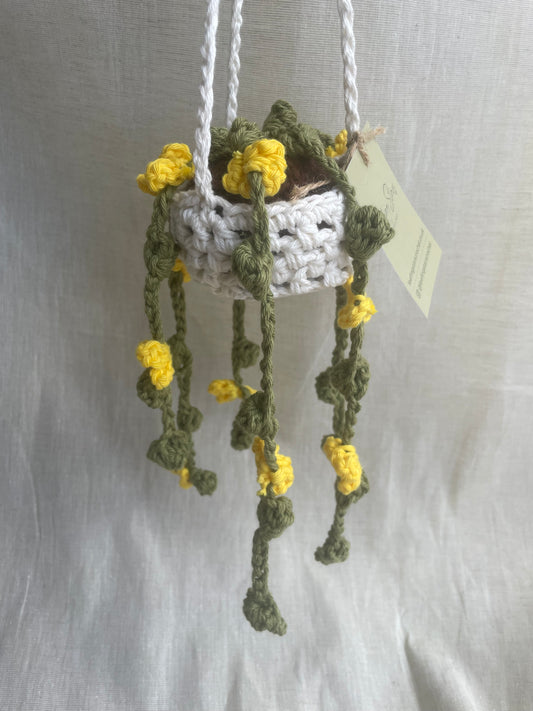 Yellow Flower Midi Hanging Plant