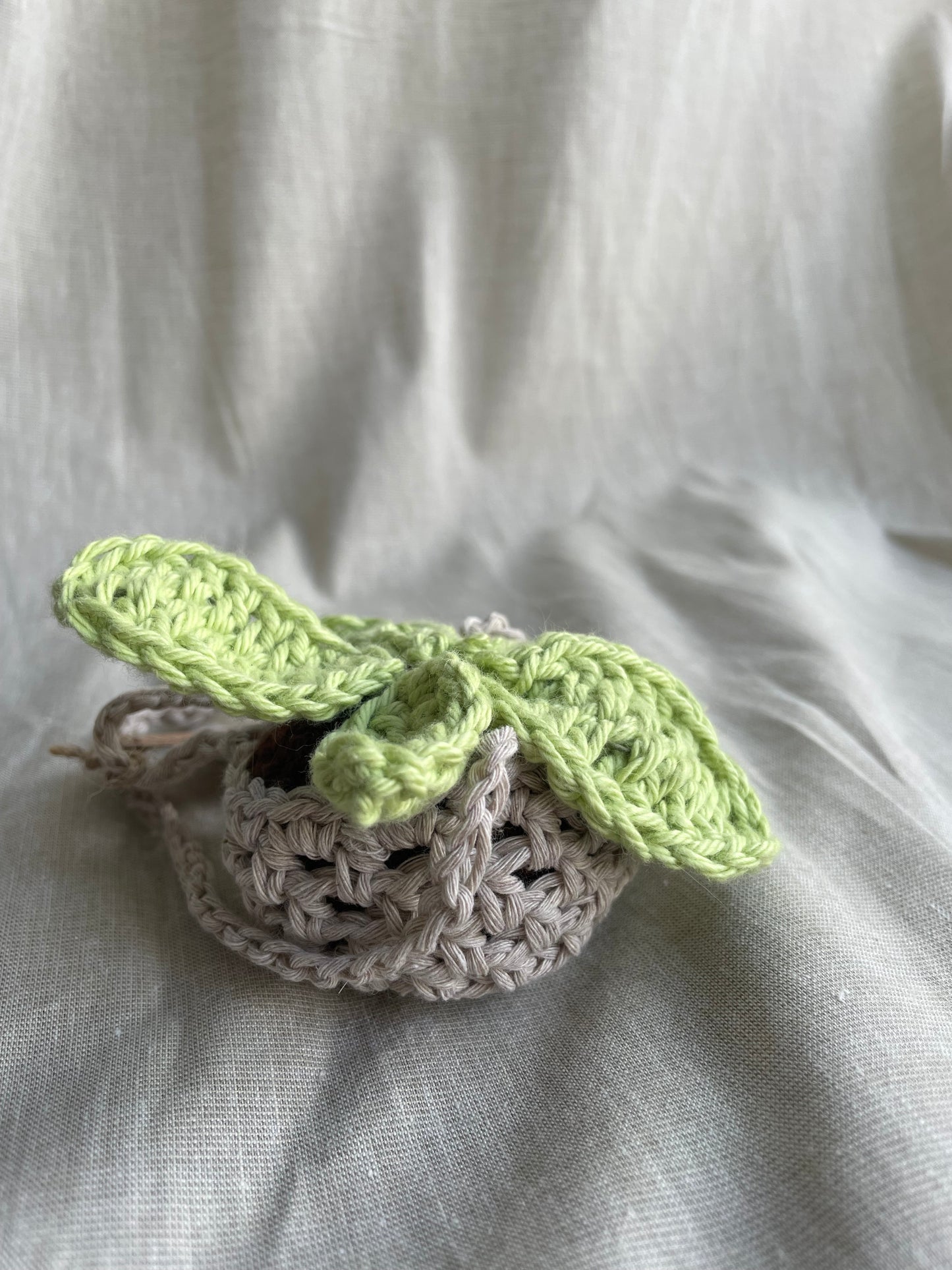 Leafy Mini Hanging Plant
