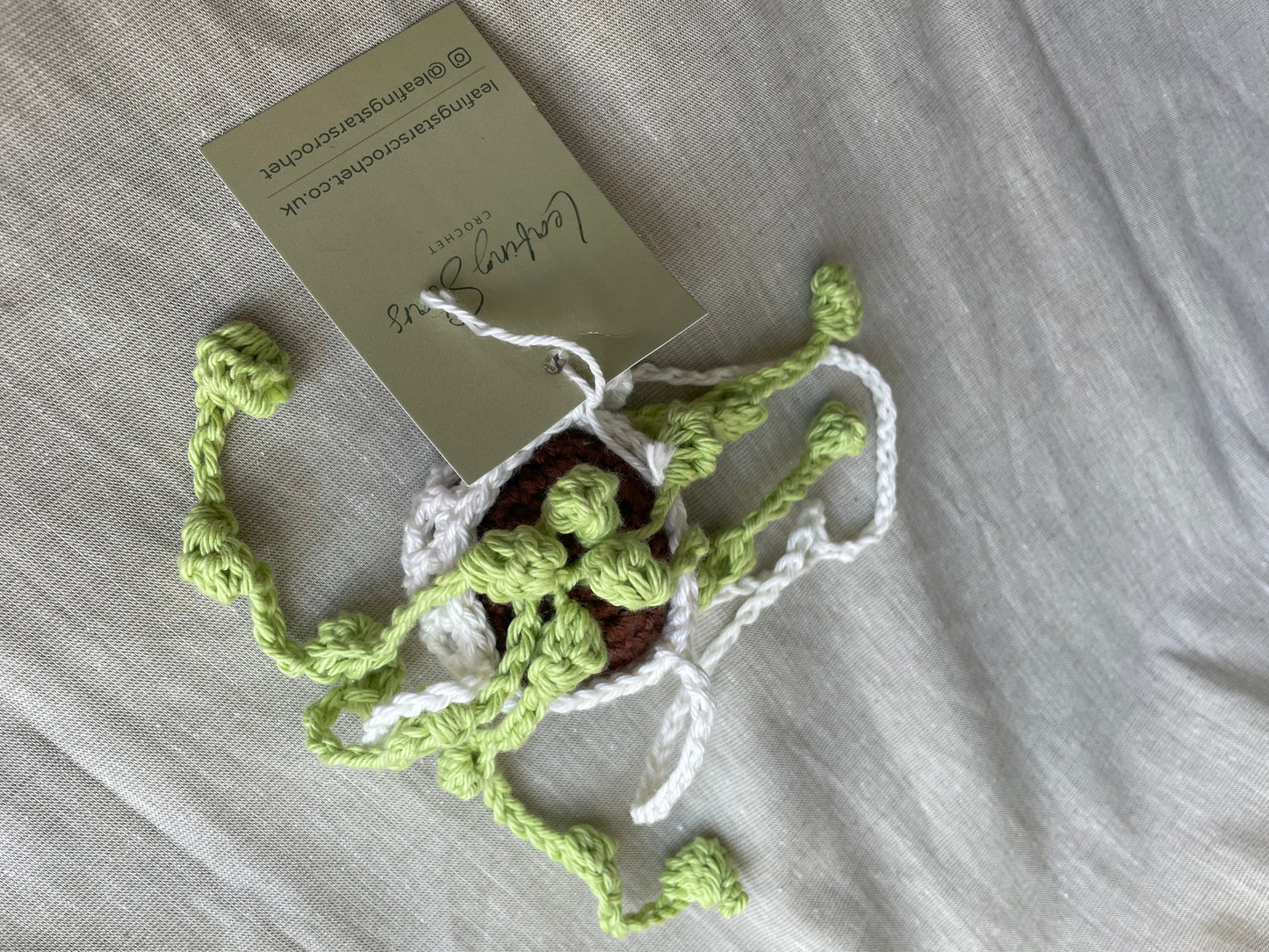 String of Pearls Mini Hanging Plant