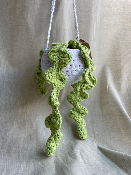 Leafy Large Hanging Plant